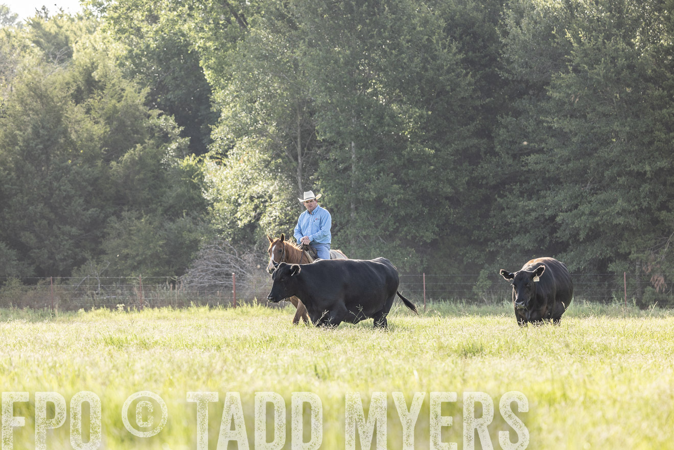 TMyers_44Farms_CameronTX_July2022--524769