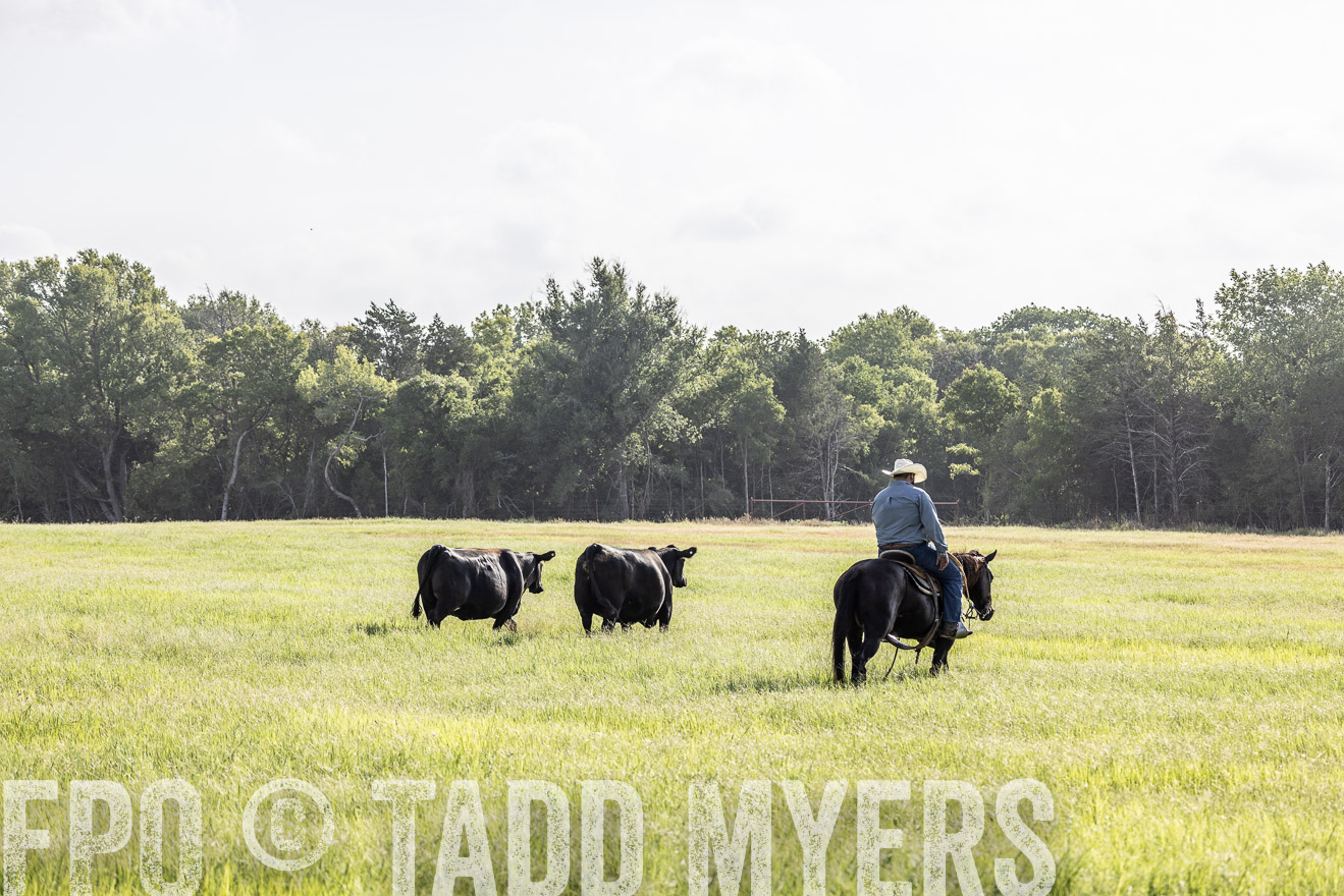 TMyers_44Farms_CameronTX_July2022--525007