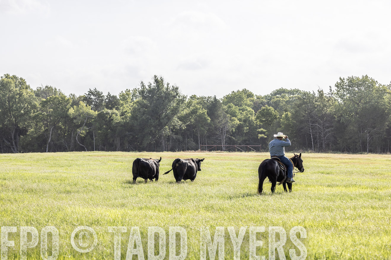 TMyers_44Farms_CameronTX_July2022--525009