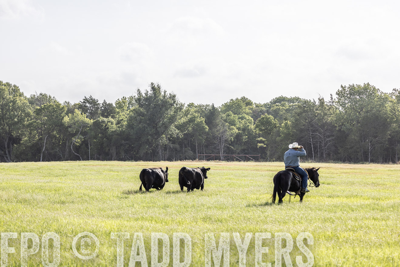 TMyers_44Farms_CameronTX_July2022--525011