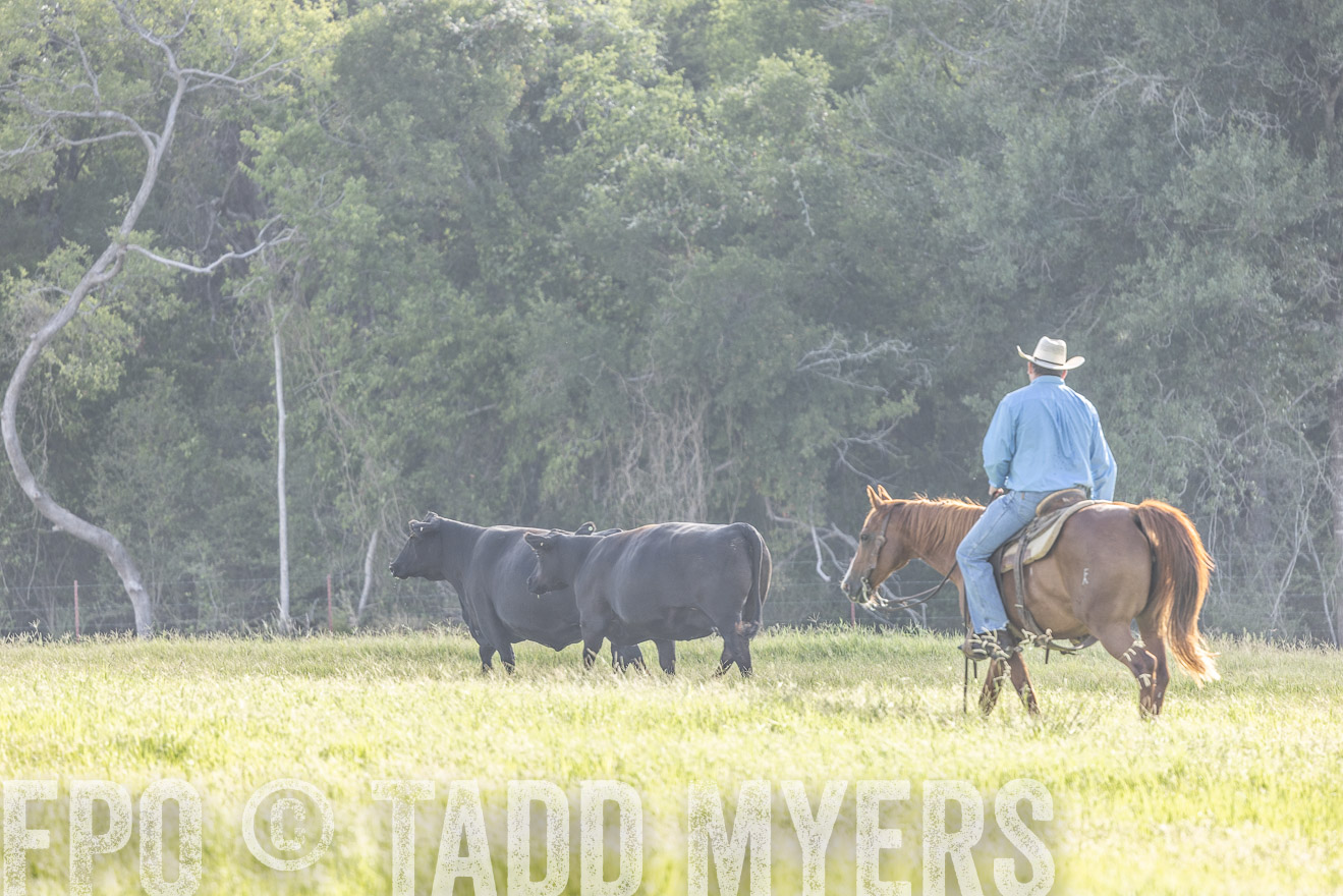 TMyers_44Farms_CameronTX_July2022--525021