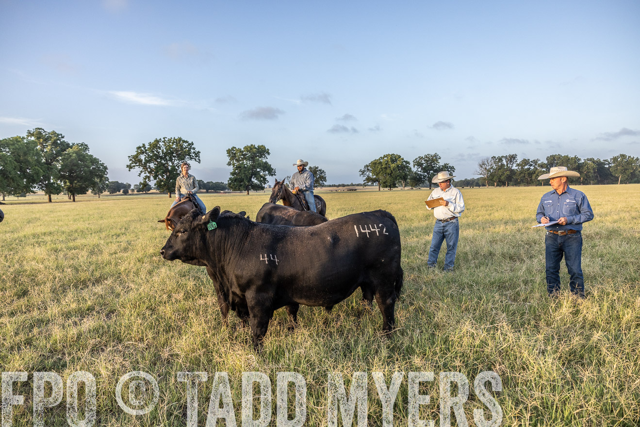 TMyers_44Farms_CameronTX_July2022--522338