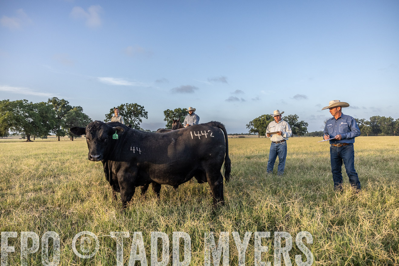 TMyers_44Farms_CameronTX_July2022--522343