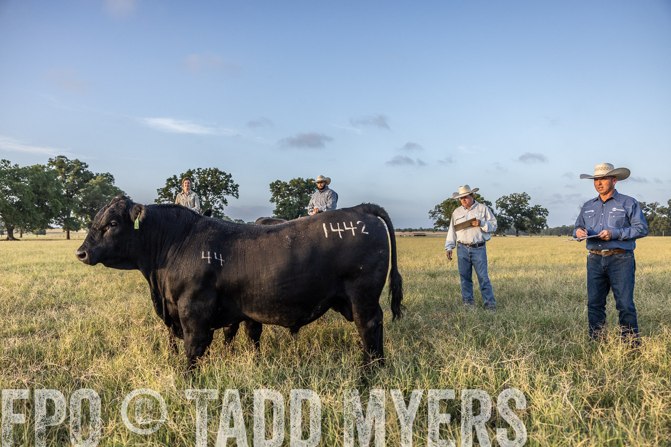 TMyers_44Farms_CameronTX_July2022--522351
