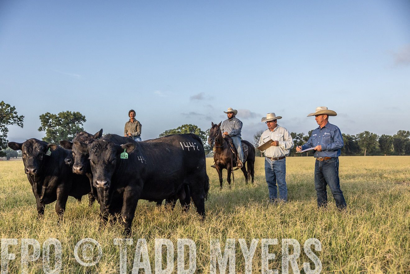 TMyers_44Farms_CameronTX_July2022--522453