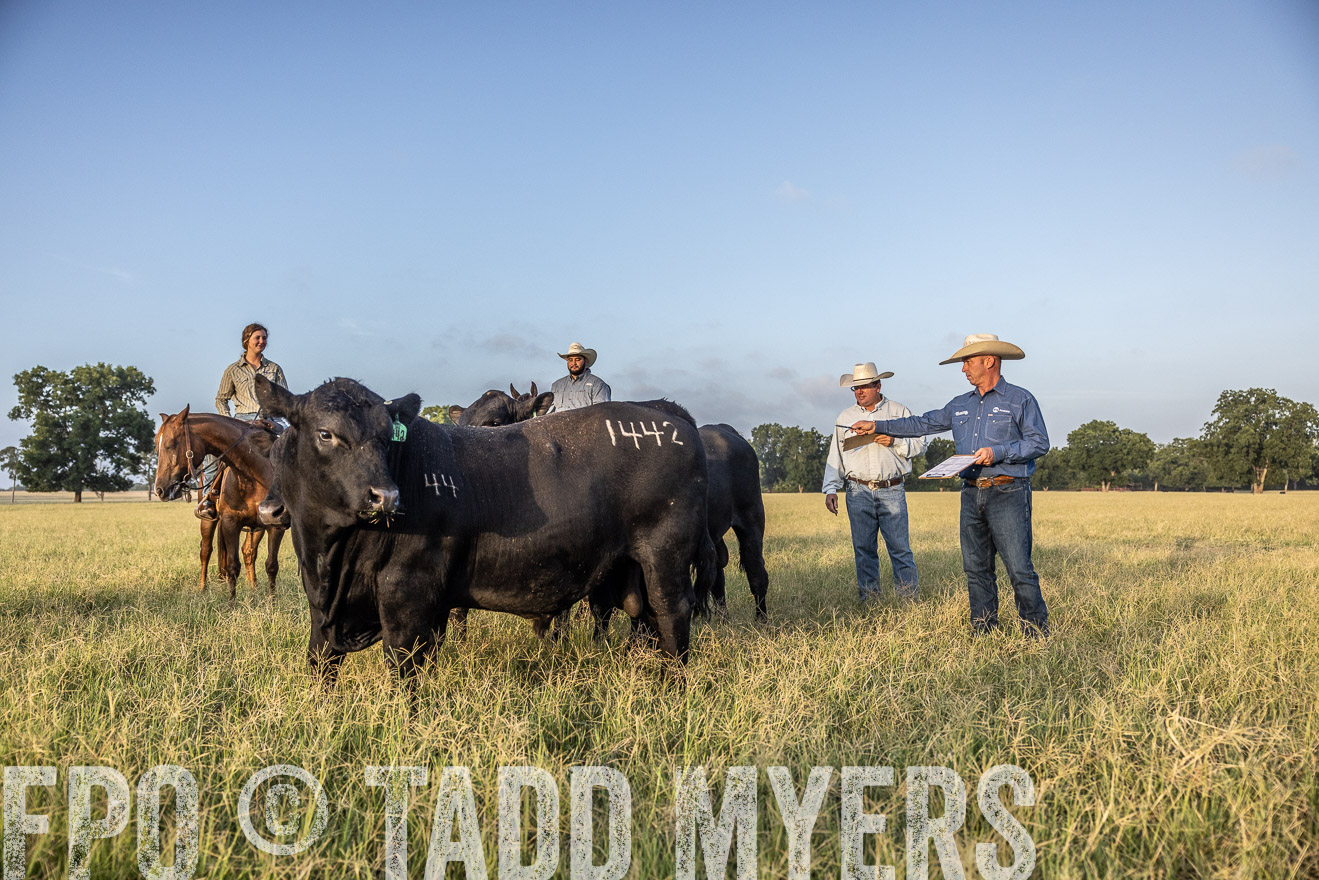 TMyers_44Farms_CameronTX_July2022--522558