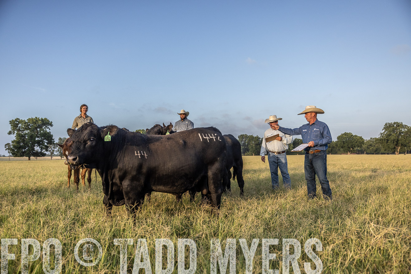 TMyers_44Farms_CameronTX_July2022--522561