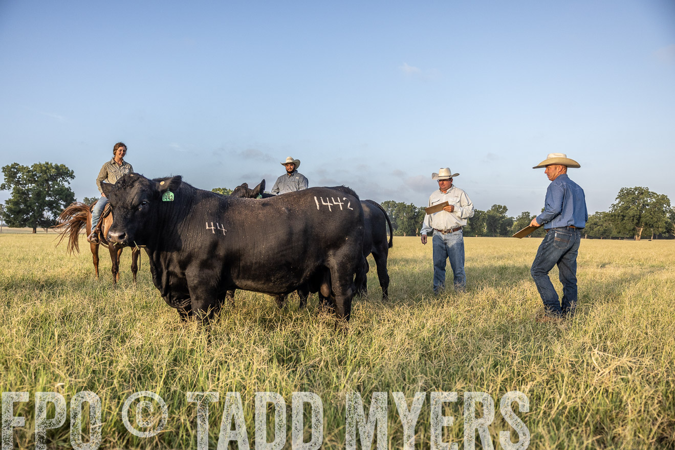 TMyers_44Farms_CameronTX_July2022--522564