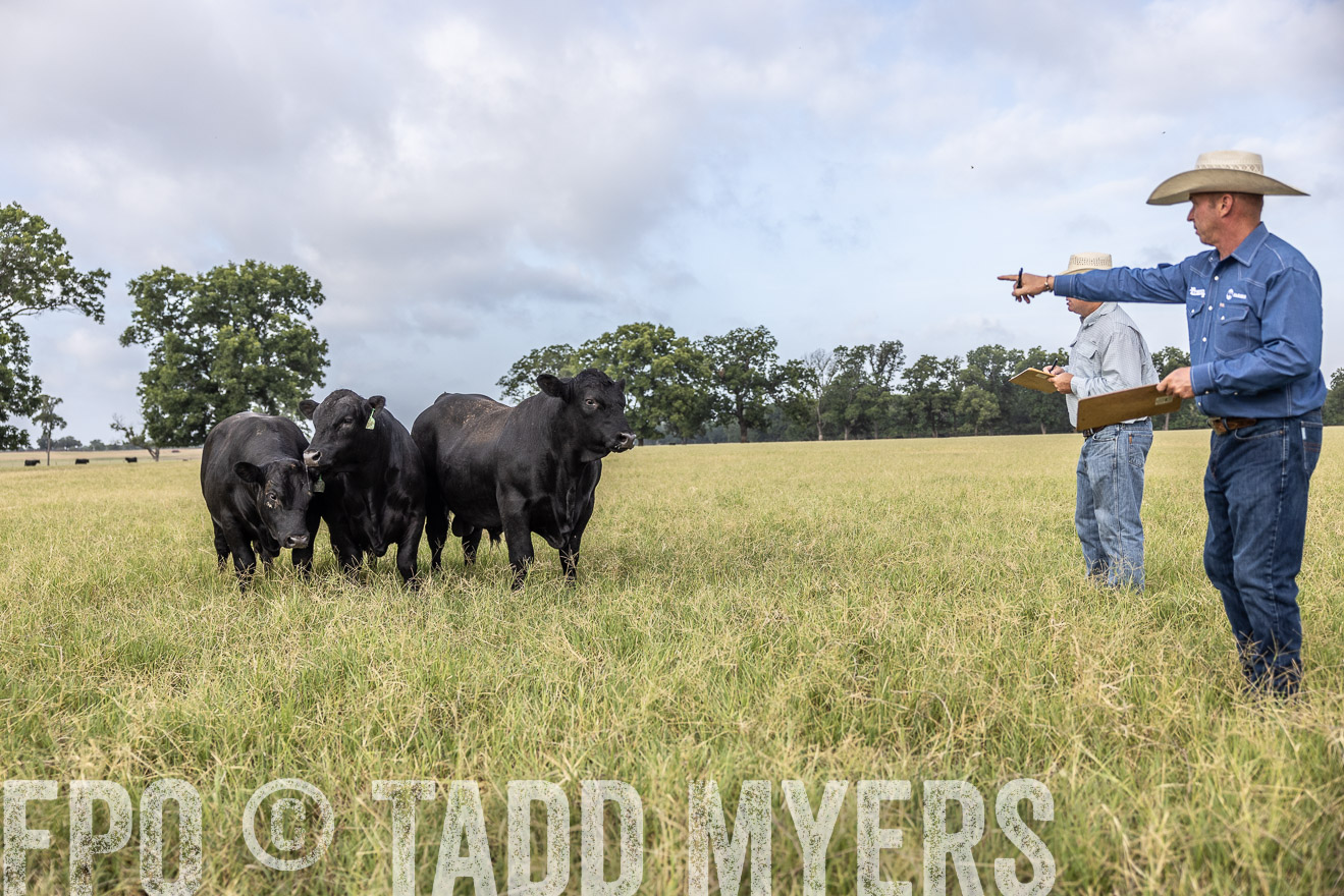 TMyers_44Farms_CameronTX_July2022--523113
