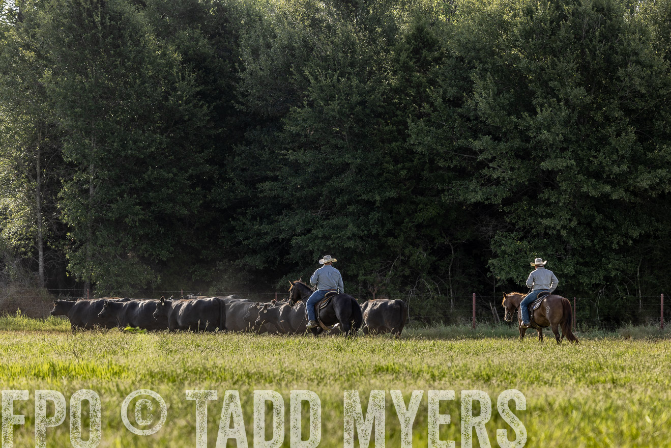 TMyers_44Farms_CameronTX_July2022--524572