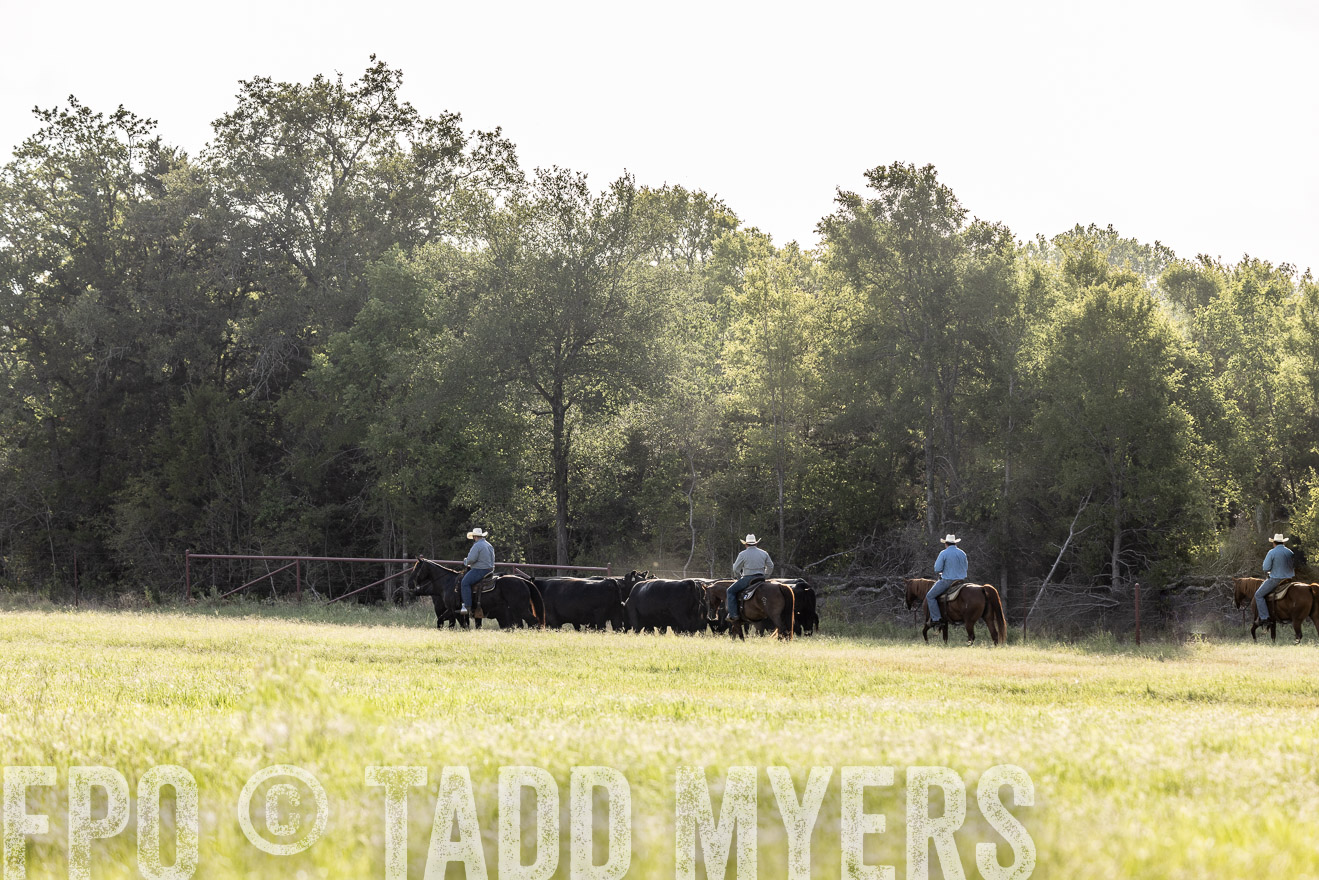 TMyers_44Farms_CameronTX_July2022--524620