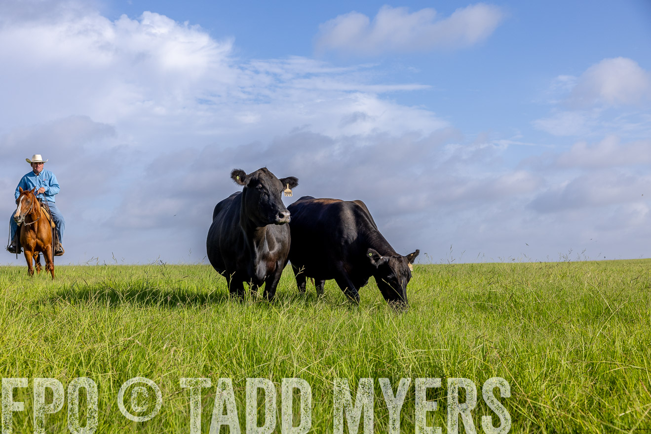 TMyers_44Farms_CameronTX_July2022--524918