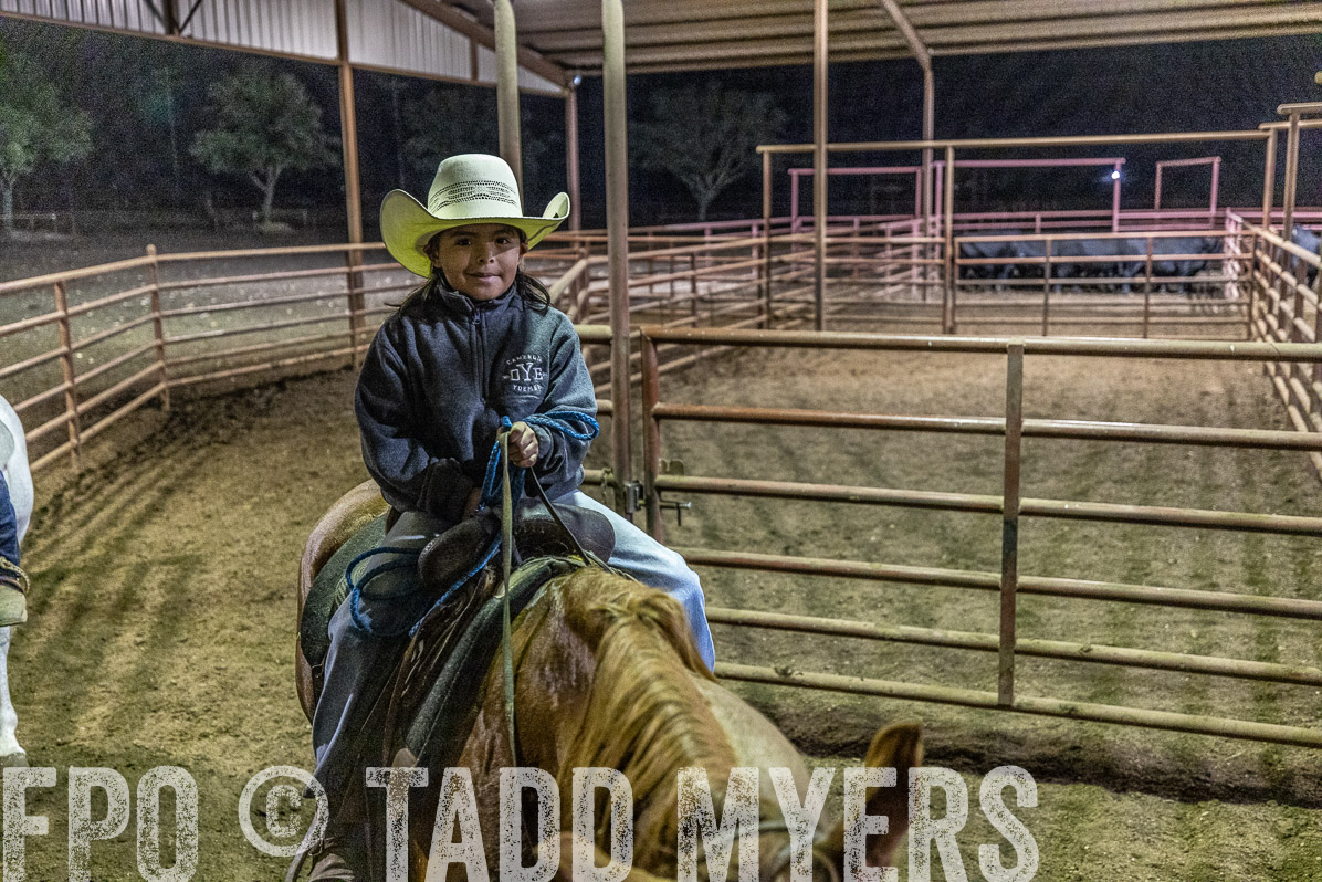 TMyers_FallBullSale_Cameron_Oct2022--521968