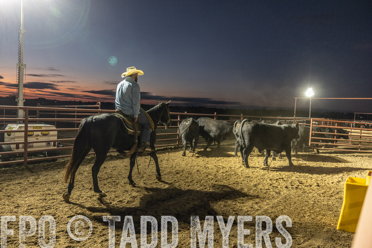 TMyers_FallBullSale_Cameron_Oct2022--522051