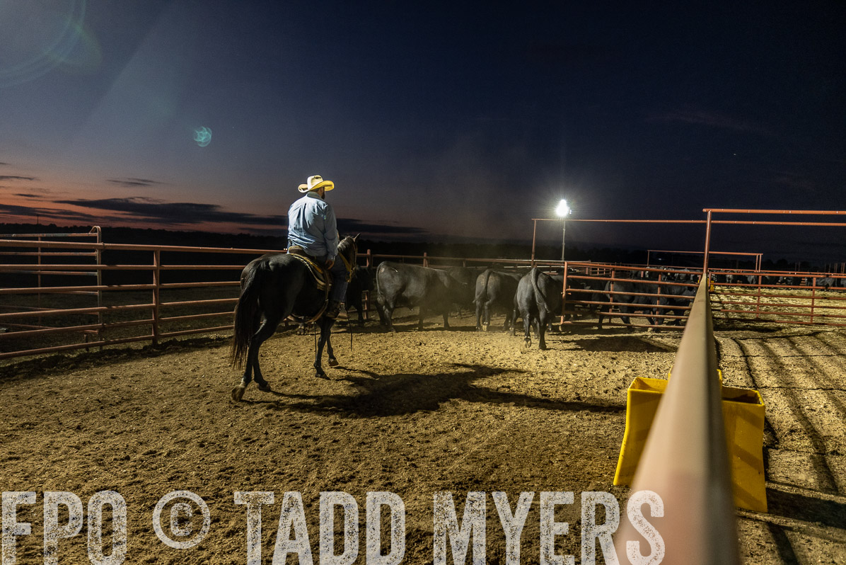 TMyers_FallBullSale_Cameron_Oct2022--522054
