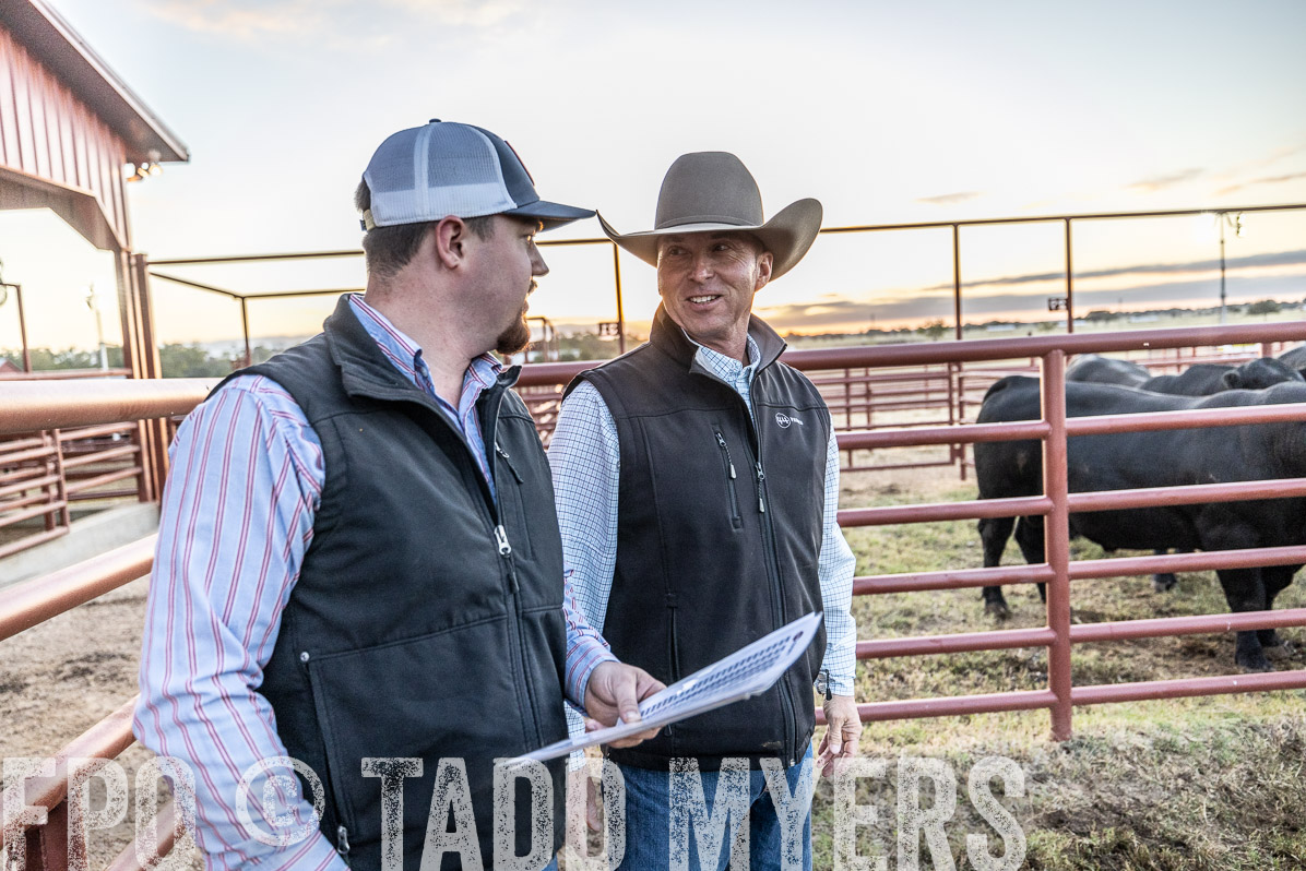 TMyers_FallBullSale_Cameron_Oct2022--522338
