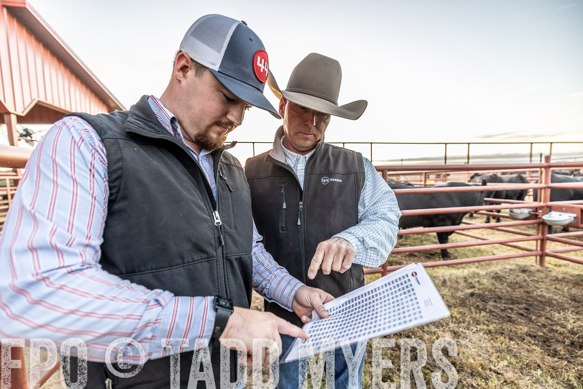 TMyers_FallBullSale_Cameron_Oct2022--522350