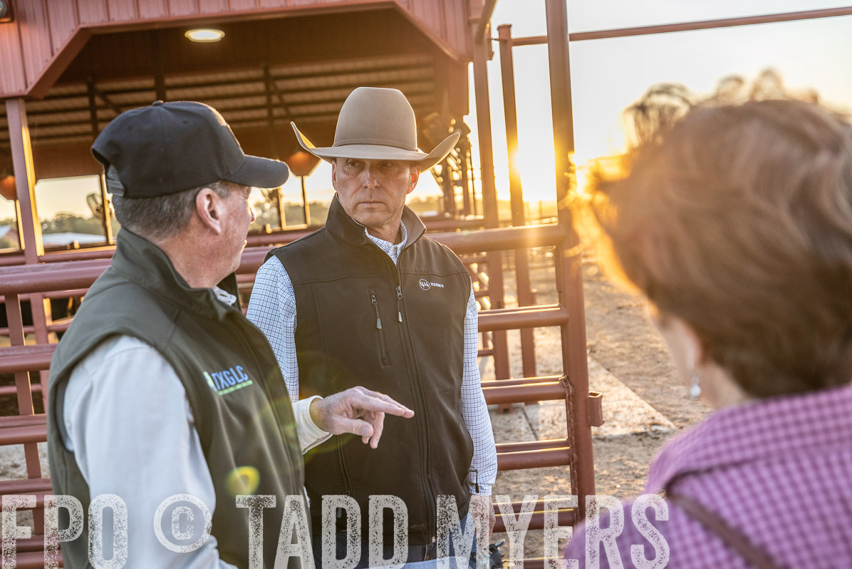 TMyers_FallBullSale_Cameron_Oct2022--522498