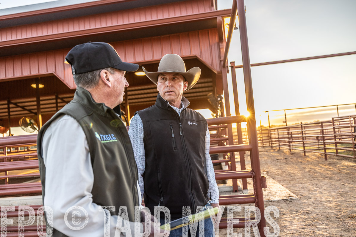 TMyers_FallBullSale_Cameron_Oct2022--522523