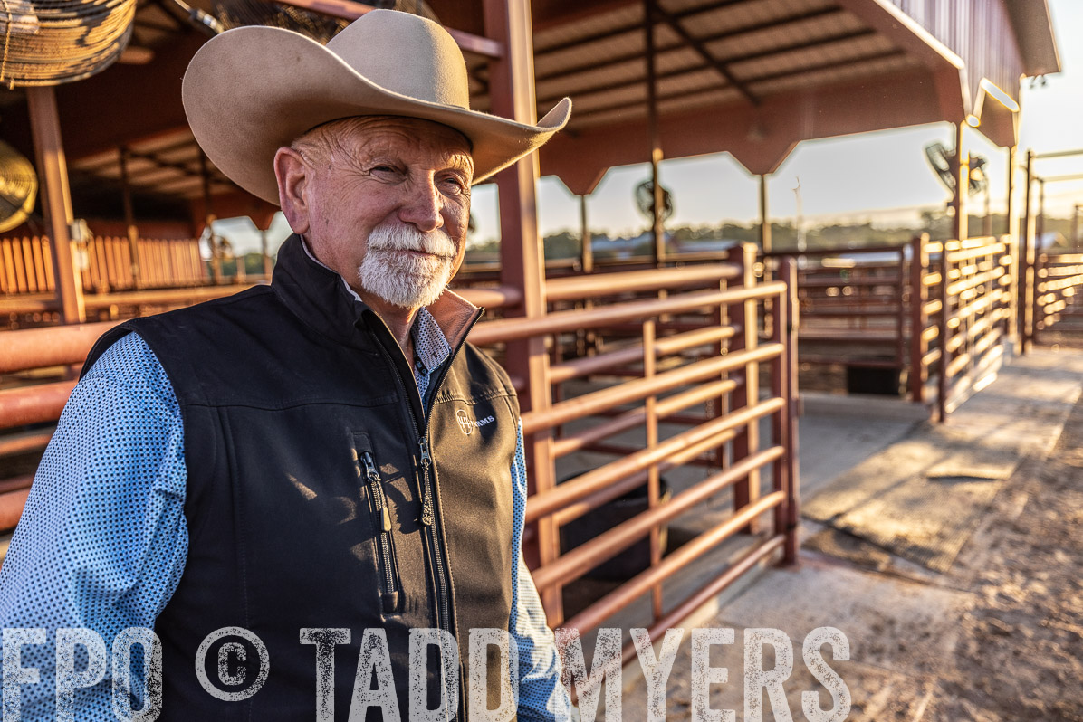 TMyers_FallBullSale_Cameron_Oct2022--522753