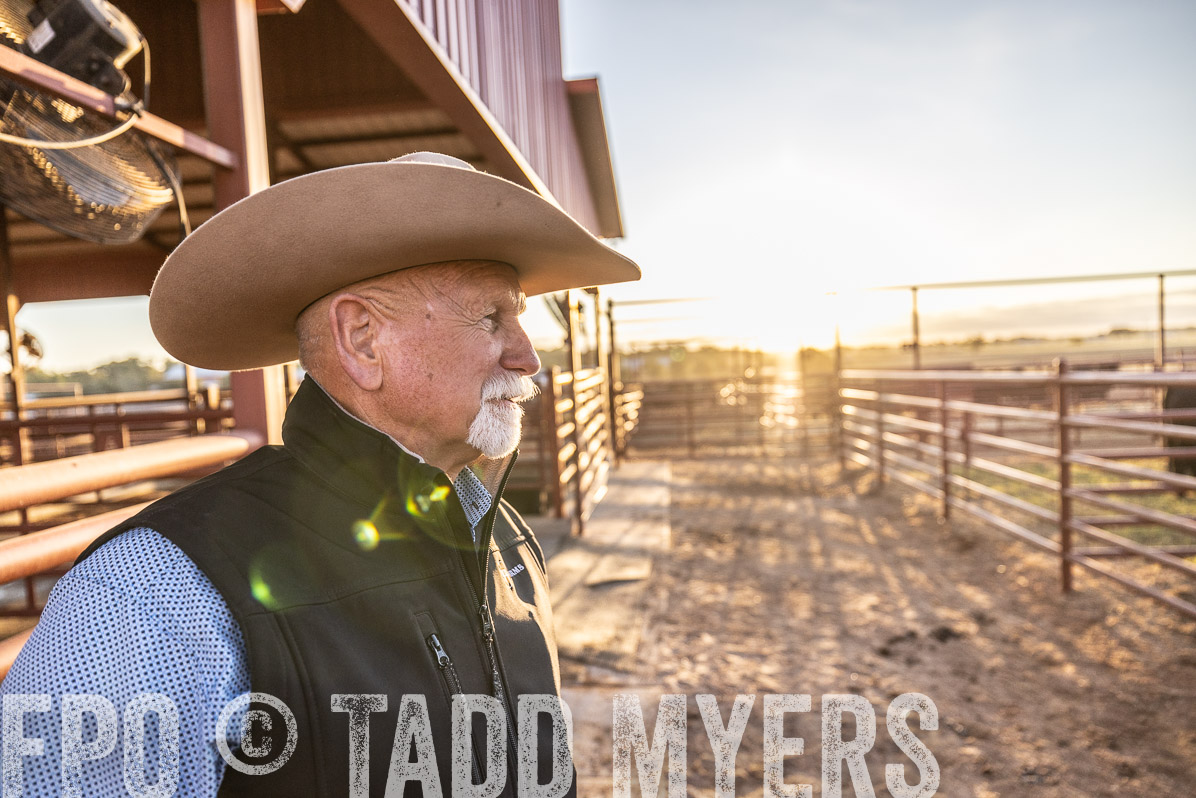 TMyers_FallBullSale_Cameron_Oct2022--522767