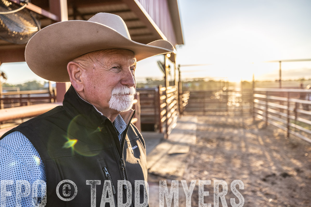 TMyers_FallBullSale_Cameron_Oct2022--522778