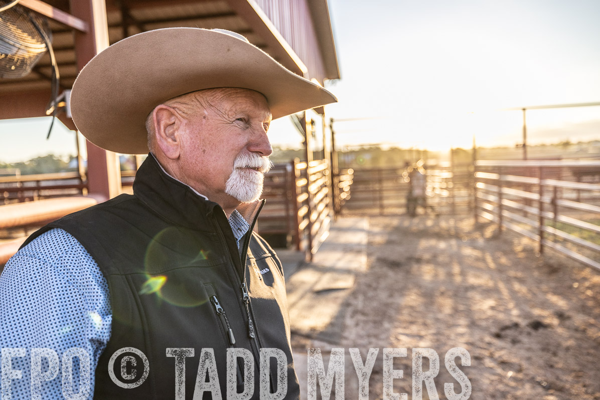 TMyers_FallBullSale_Cameron_Oct2022--522787