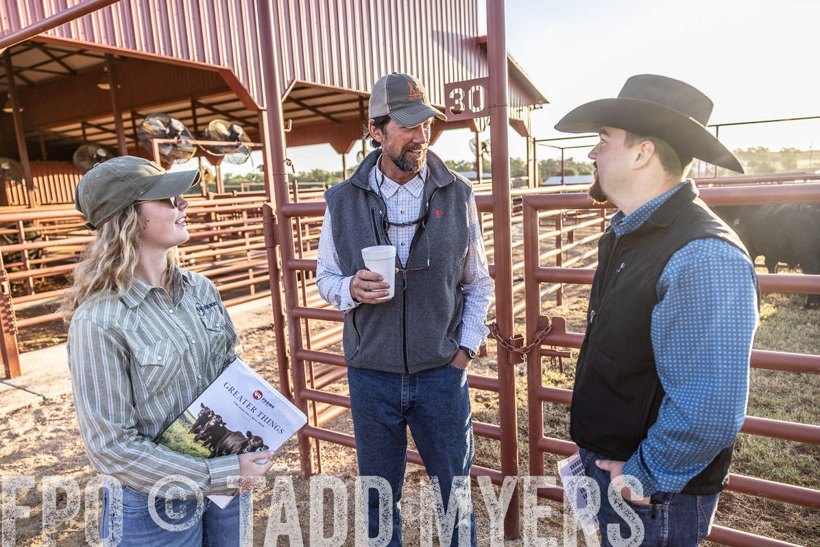 TMyers_FallBullSale_Cameron_Oct2022--522951