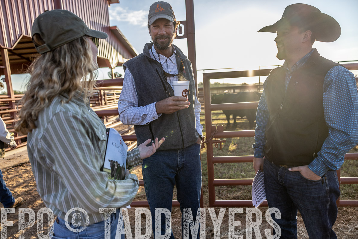 TMyers_FallBullSale_Cameron_Oct2022--522959