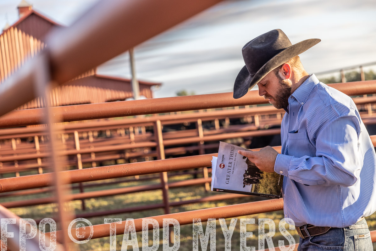 TMyers_FallBullSale_Cameron_Oct2022--522999
