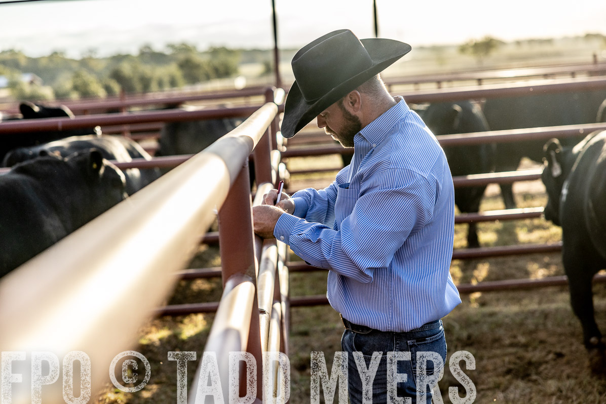TMyers_FallBullSale_Cameron_Oct2022--523152