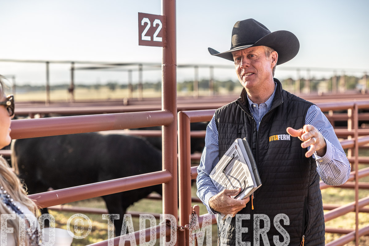 TMyers_FallBullSale_Cameron_Oct2022--523233