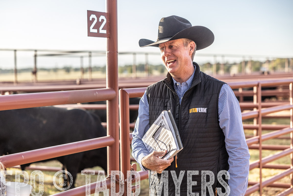 TMyers_FallBullSale_Cameron_Oct2022--523236