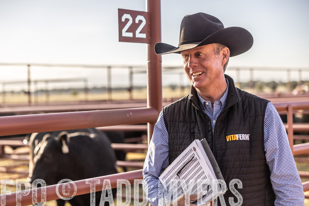 TMyers_FallBullSale_Cameron_Oct2022--523258