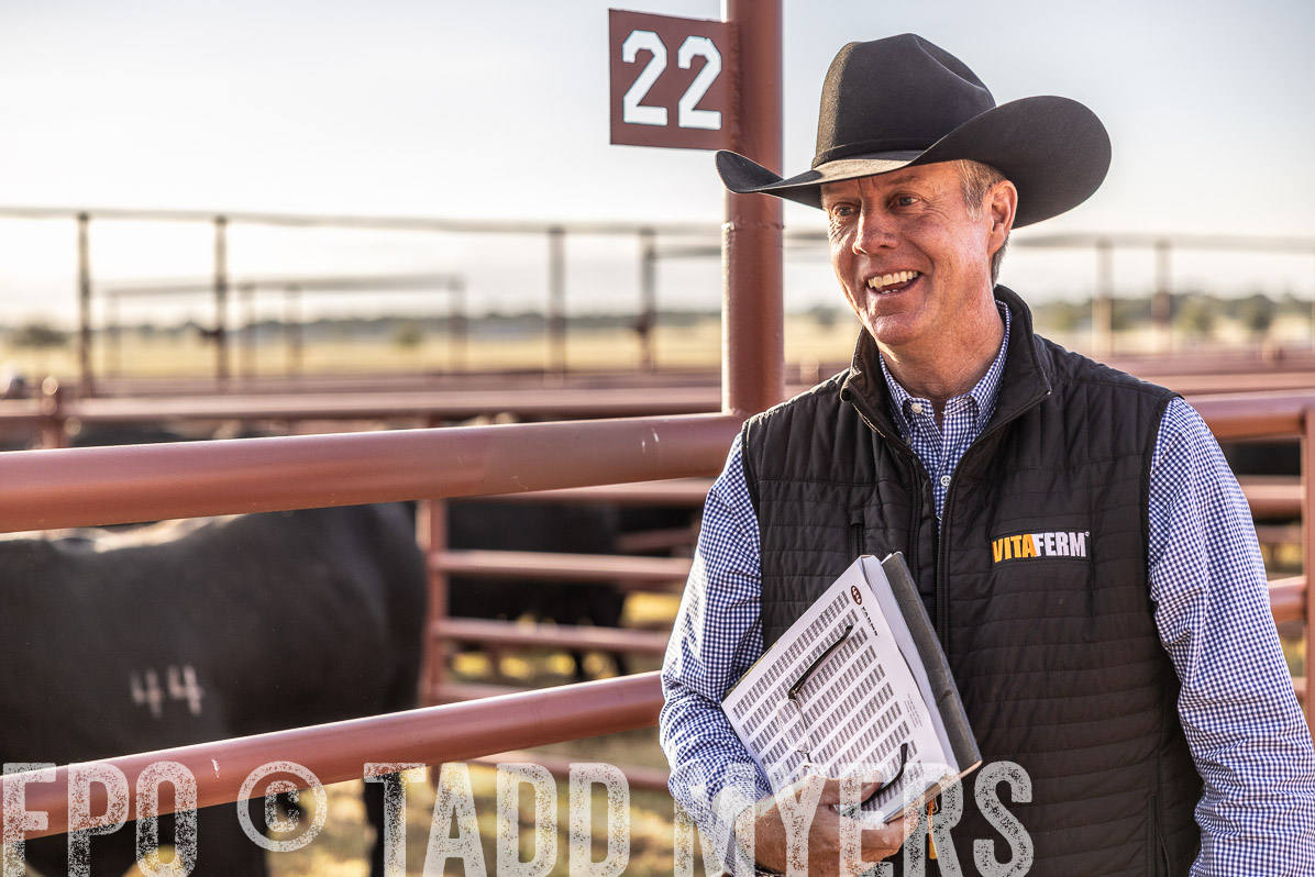 TMyers_FallBullSale_Cameron_Oct2022--523260