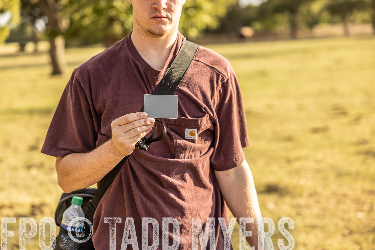 TMyers_FallBullSale_Cameron_Oct2022--523346