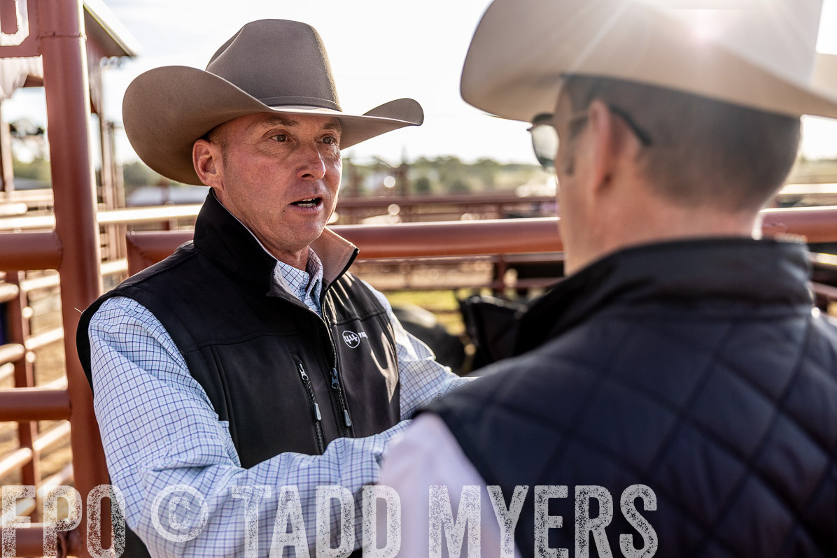 TMyers_FallBullSale_Cameron_Oct2022--523361