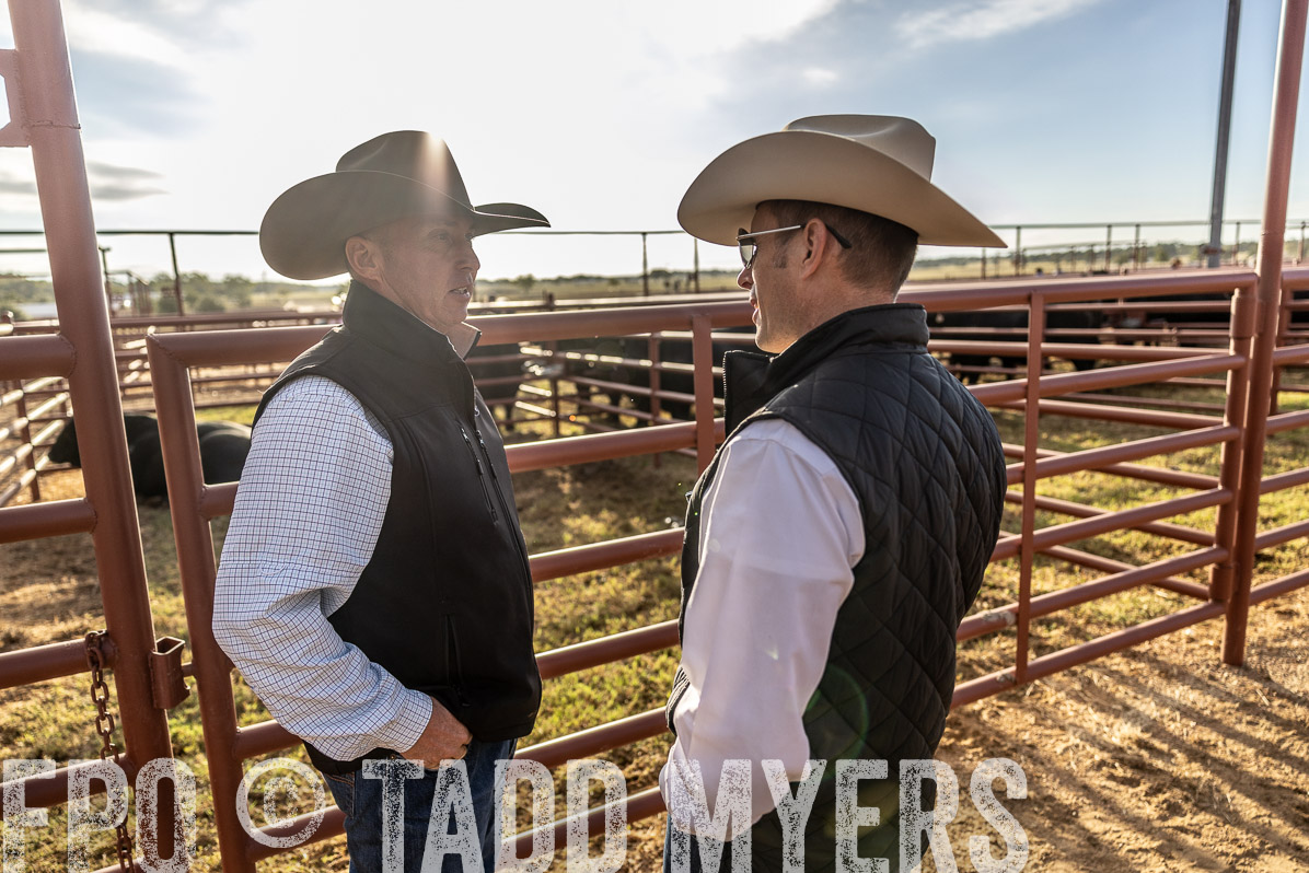 TMyers_FallBullSale_Cameron_Oct2022--523370