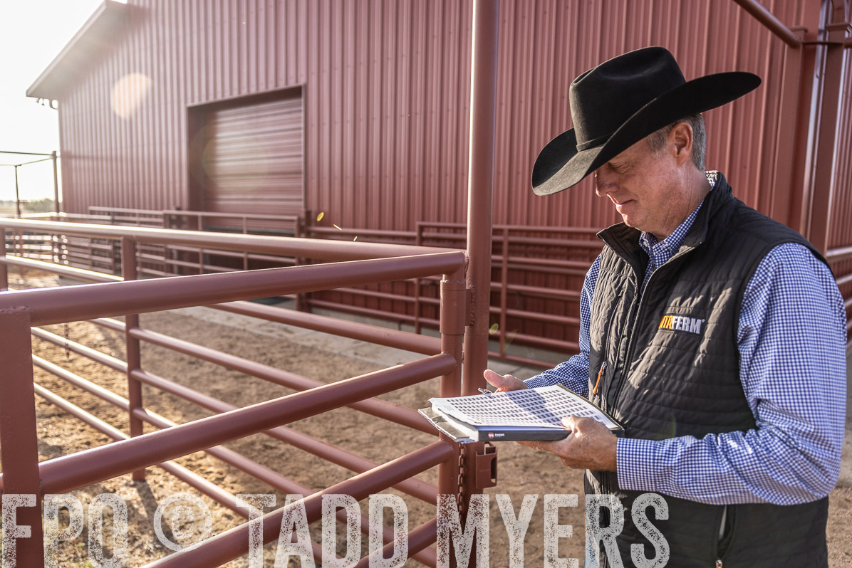 TMyers_FallBullSale_Cameron_Oct2022--523389