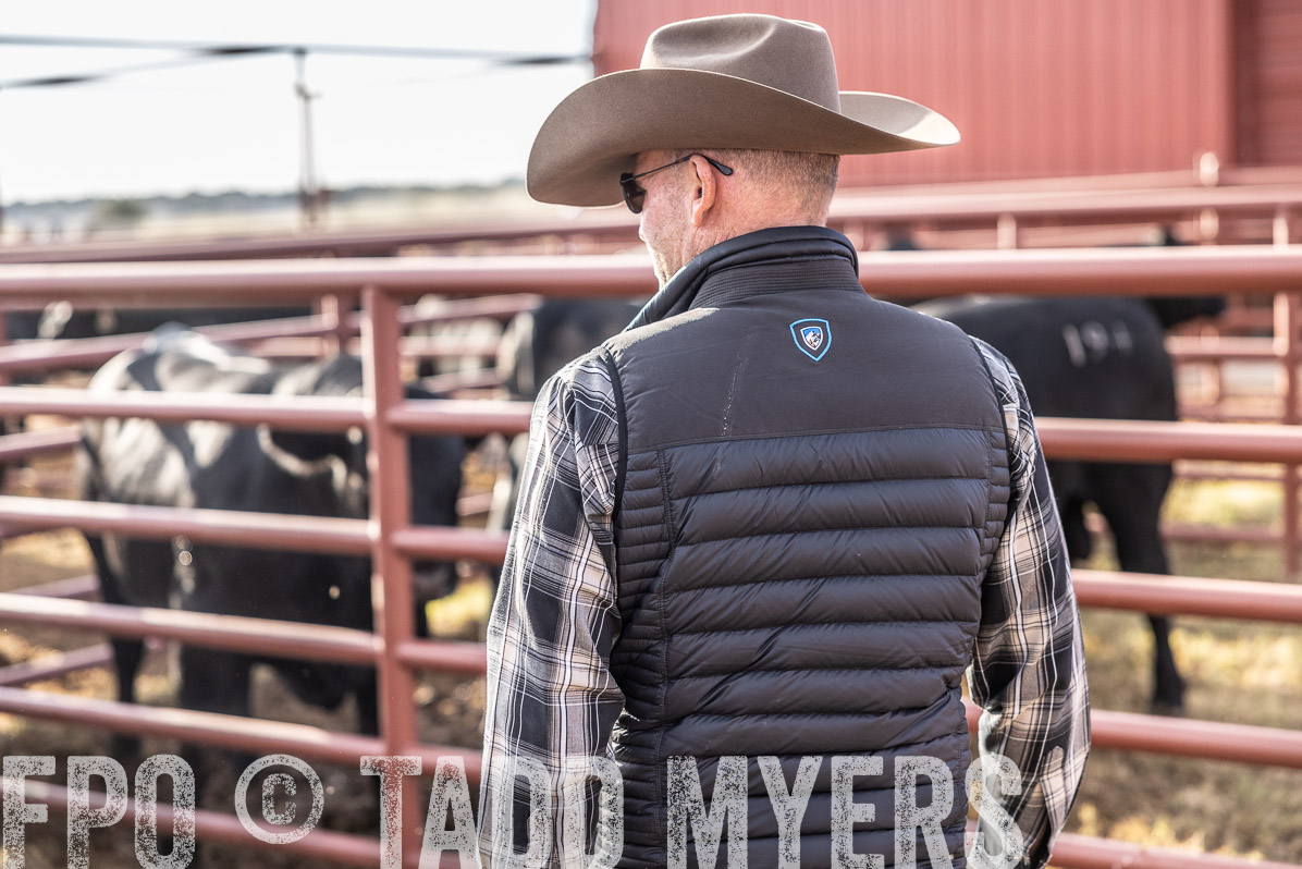 TMyers_FallBullSale_Cameron_Oct2022--523480