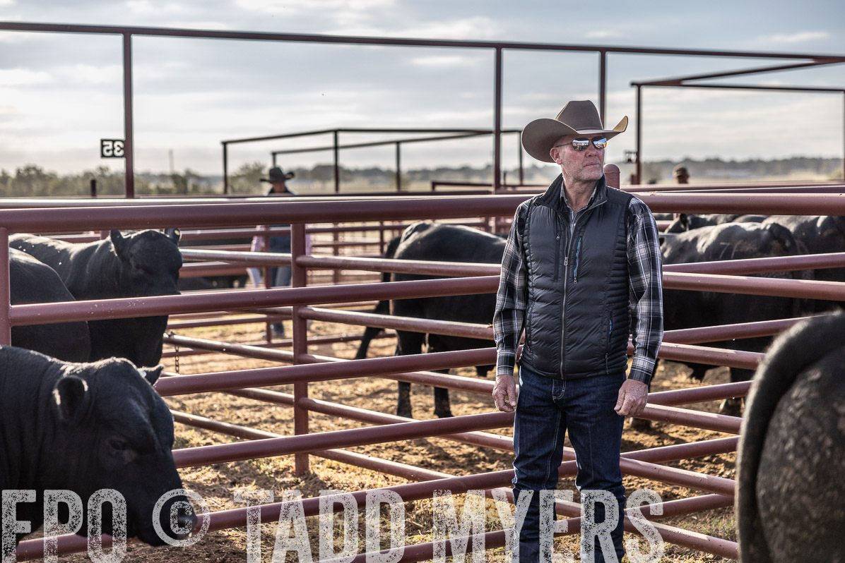 TMyers_FallBullSale_Cameron_Oct2022--523504