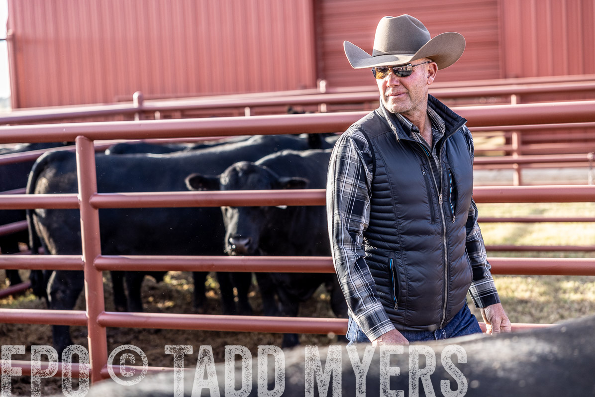 TMyers_FallBullSale_Cameron_Oct2022--523513