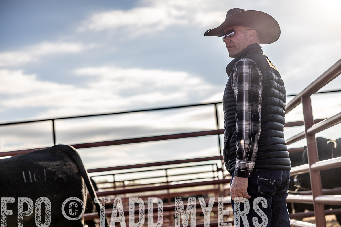 TMyers_FallBullSale_Cameron_Oct2022--523562
