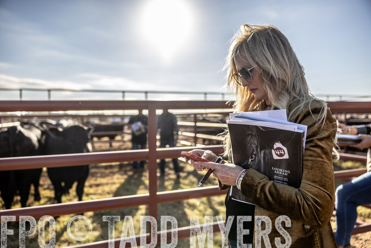 TMyers_FallBullSale_Cameron_Oct2022--523666