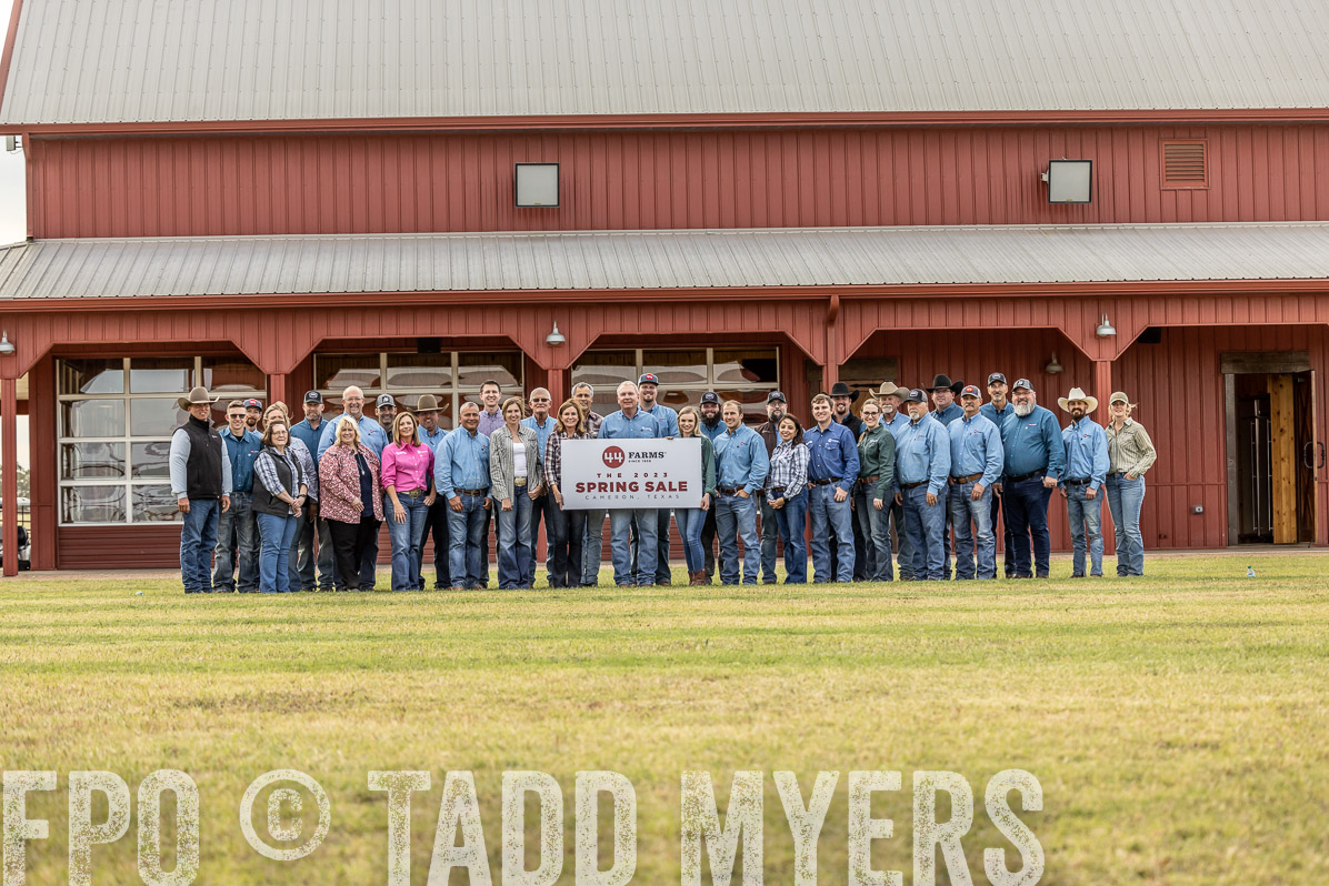 TMyers_FallBullSale_Cameron_Oct2022--524594