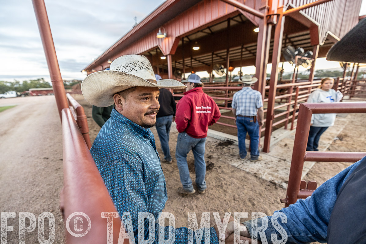 TMyers_FallBullSale_Cameron_Oct2022--522287