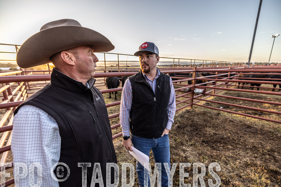 TMyers_FallBullSale_Cameron_Oct2022--522458
