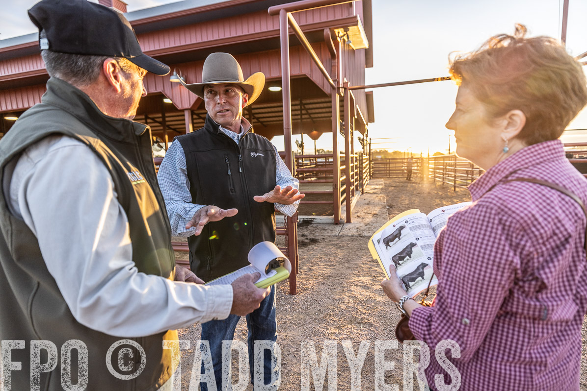 TMyers_FallBullSale_Cameron_Oct2022--522686