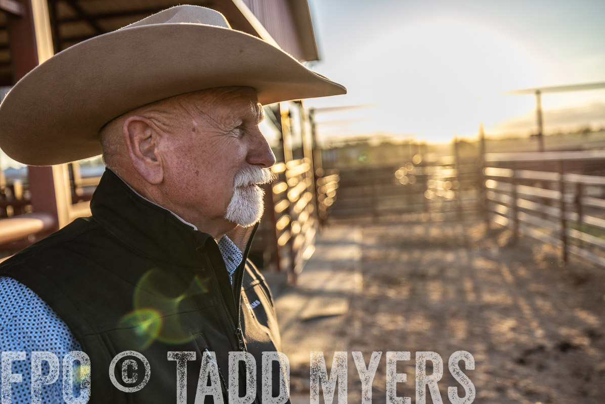 TMyers_FallBullSale_Cameron_Oct2022--522764