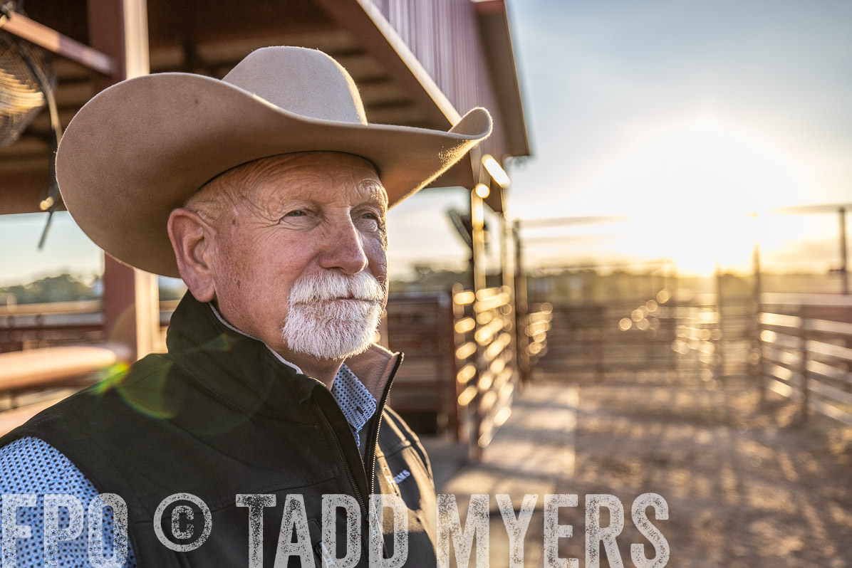 TMyers_FallBullSale_Cameron_Oct2022--522805